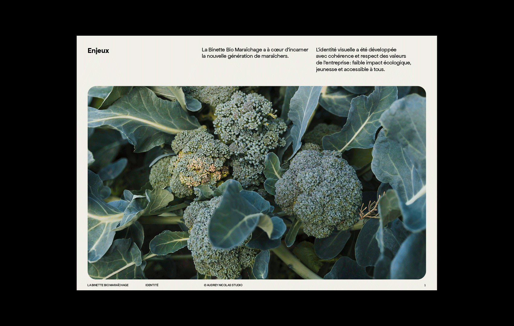 La Binette Bio Maraîchage identité visuelle