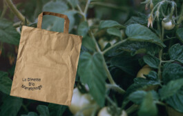 La Binette Bio Maraîchage identité visuelle