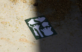 La Binette Bio Maraîchage identité visuelle