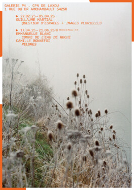 P4 galerie poster-flyer